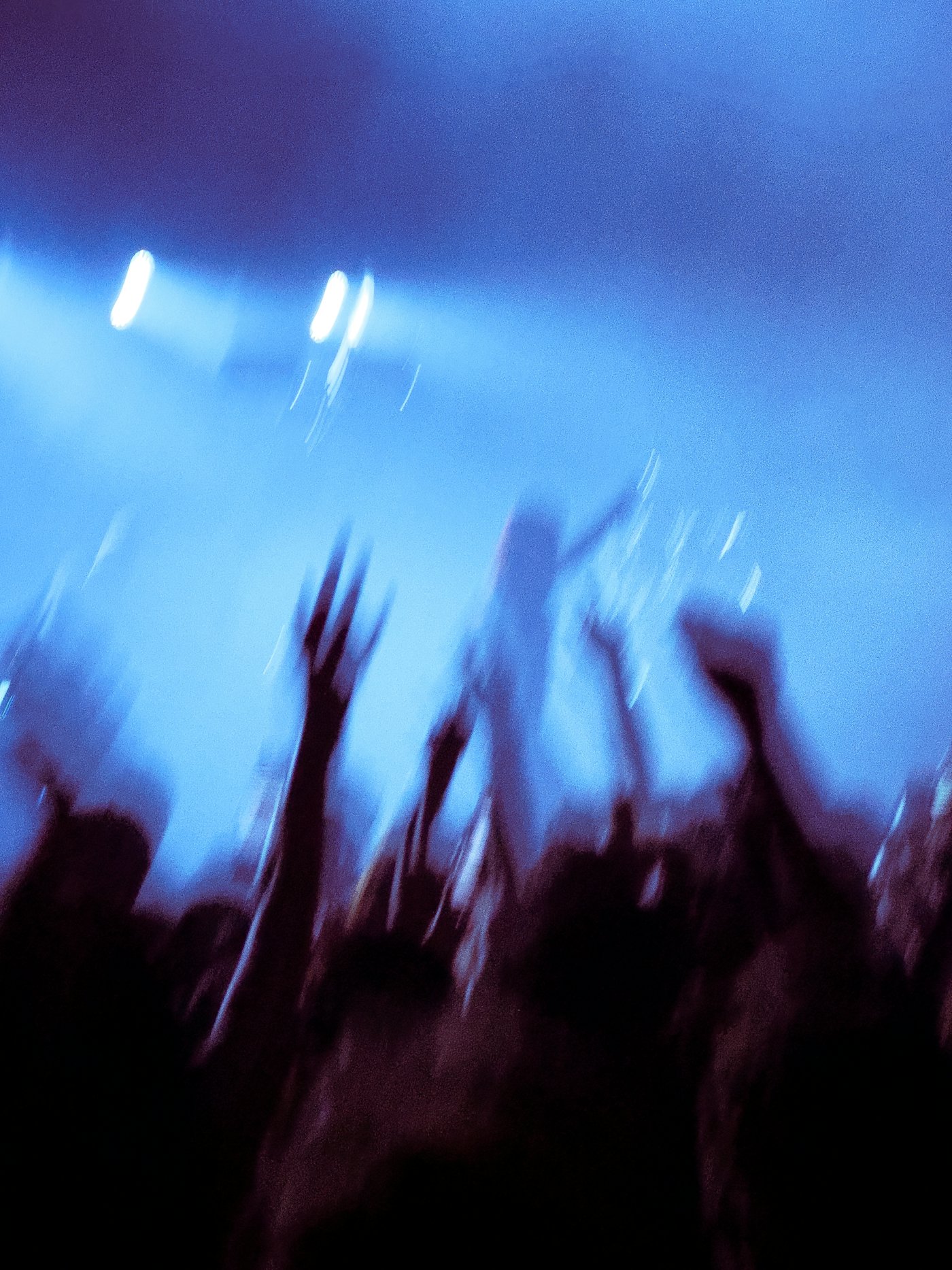 Concert crowd